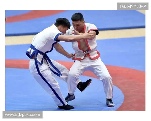 全国摔跤比赛：展现力量与技巧的巅峰对决